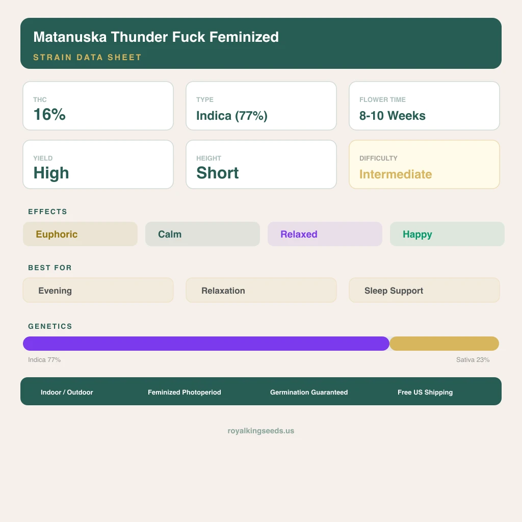 Matanuska Thunder Fuck 77% indica / 23% sativa flower with visible trichomes