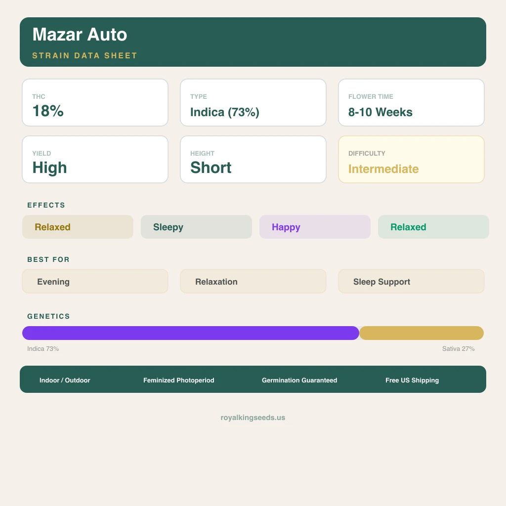 Mazar 73% indica / 27% sativa flower with visible trichomes