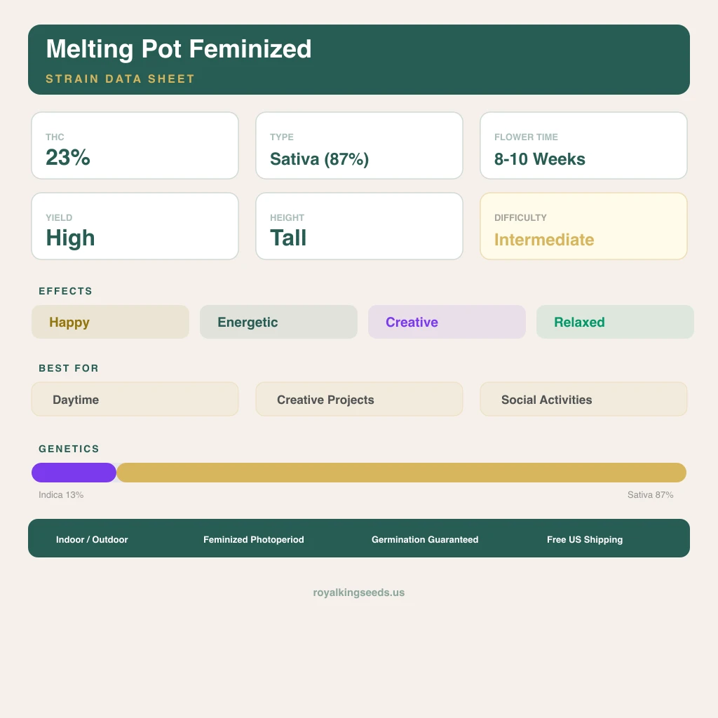 Melting Pot 13% indica / 87% sativa flower with visible trichomes