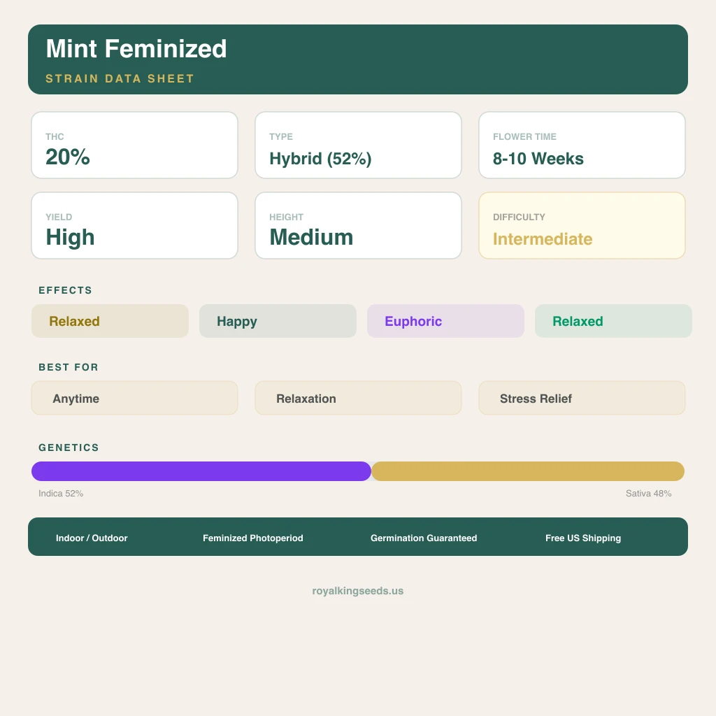 Mint 52% indica / 48% sativa flower with visible trichomes