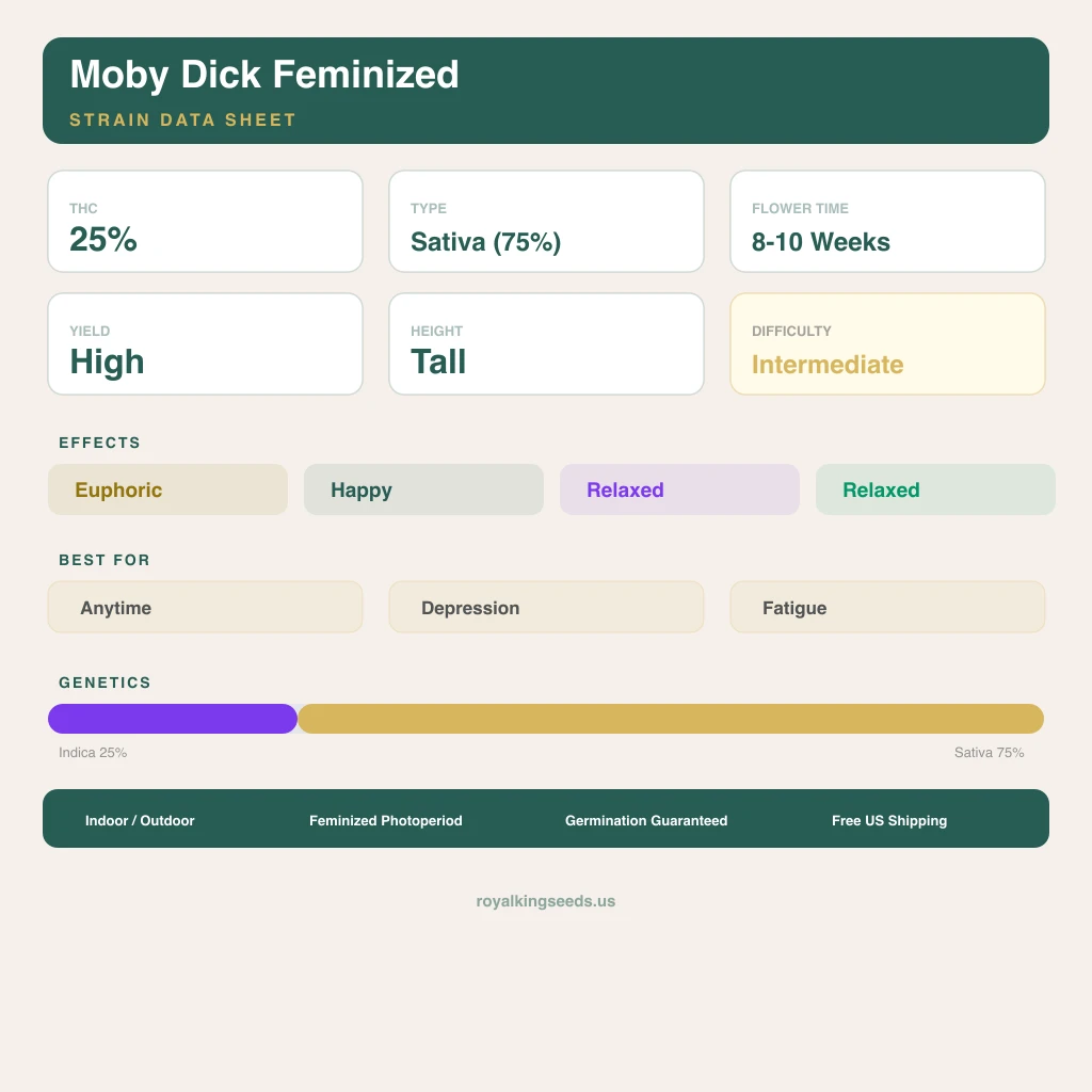 Moby Dick 25% indica / 75% sativa flower with visible trichomes
