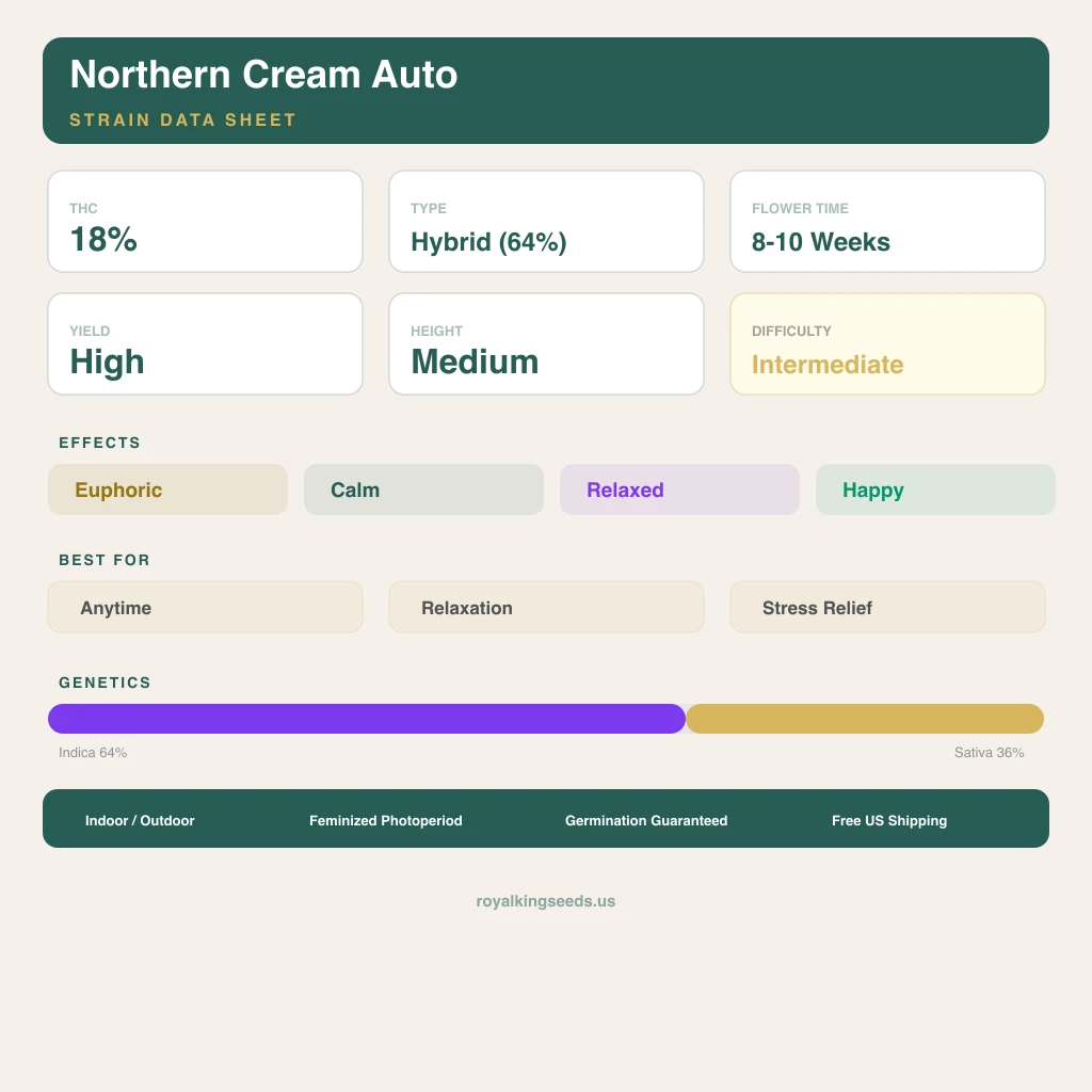 Northern Cream 64% indica / 36% sativa flower with visible trichomes