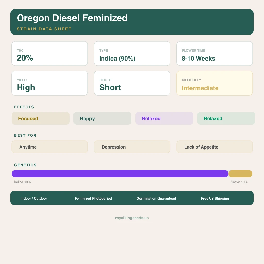 Oregon Diesel 90% indica / 10% sativa flower with visible trichomes