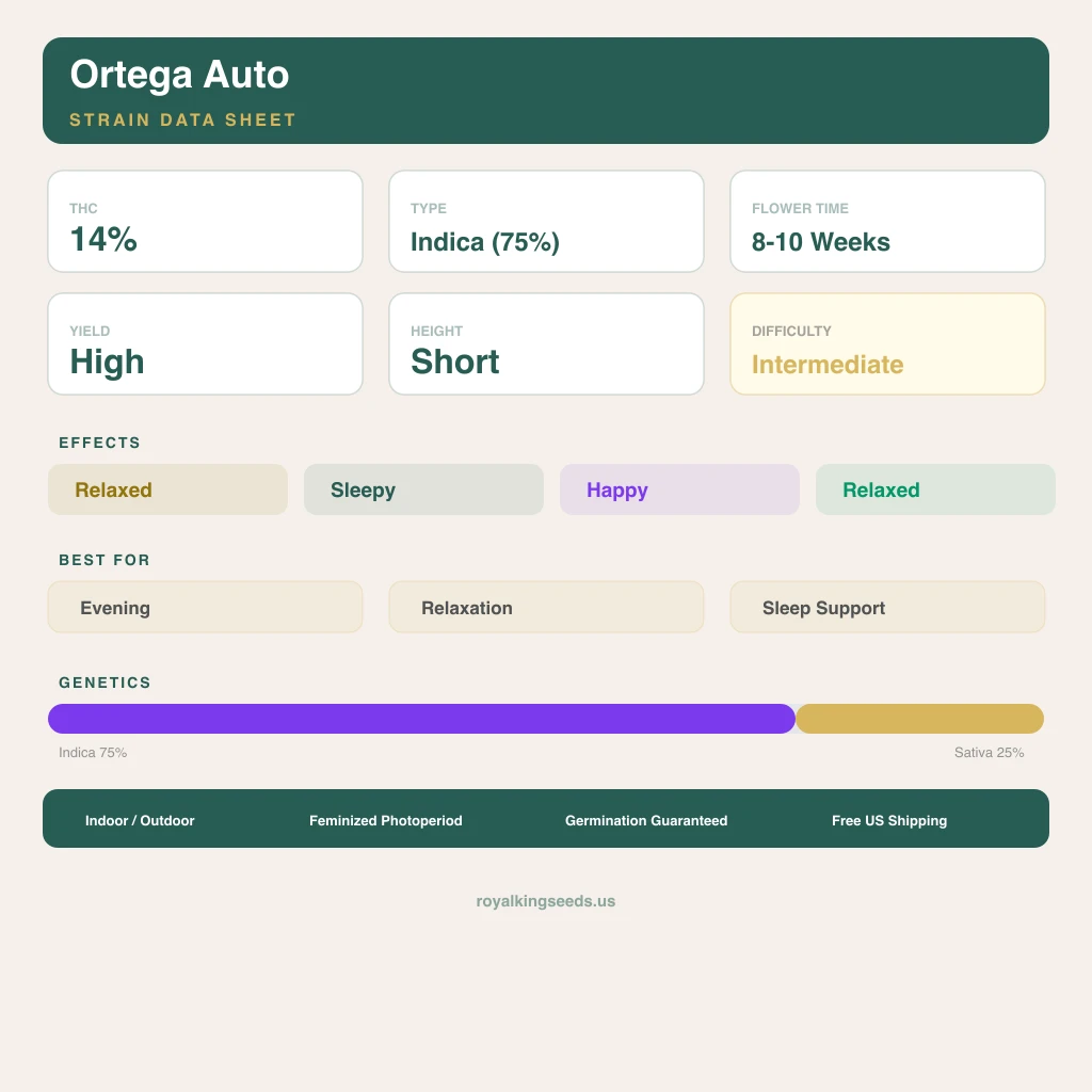 Ortega 75% indica / 25% sativa flower with visible trichomes
