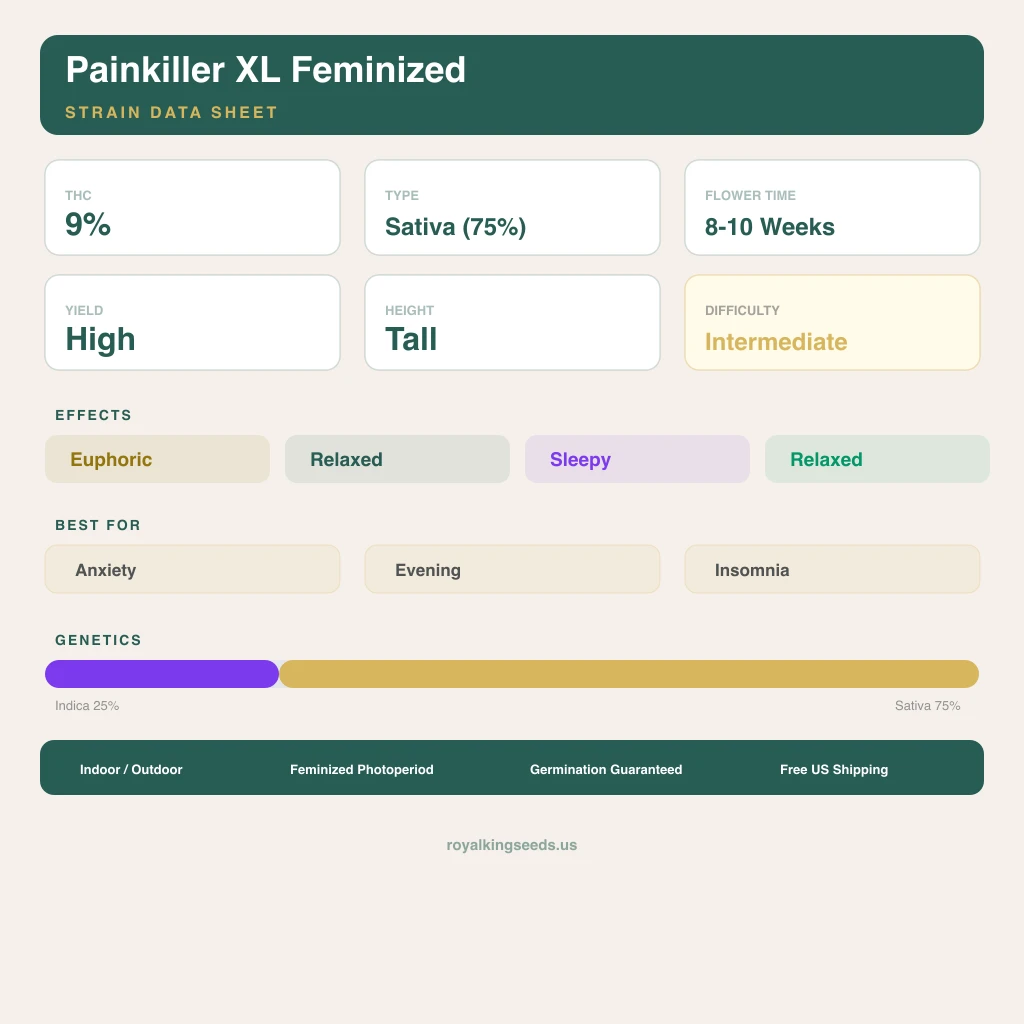 Painkiller XL 25% indica / 75% sativa flower with visible trichomes