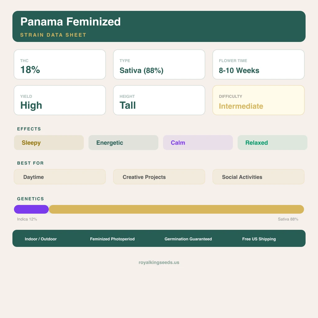 Panama 12% indica / 88% sativa flower with visible trichomes