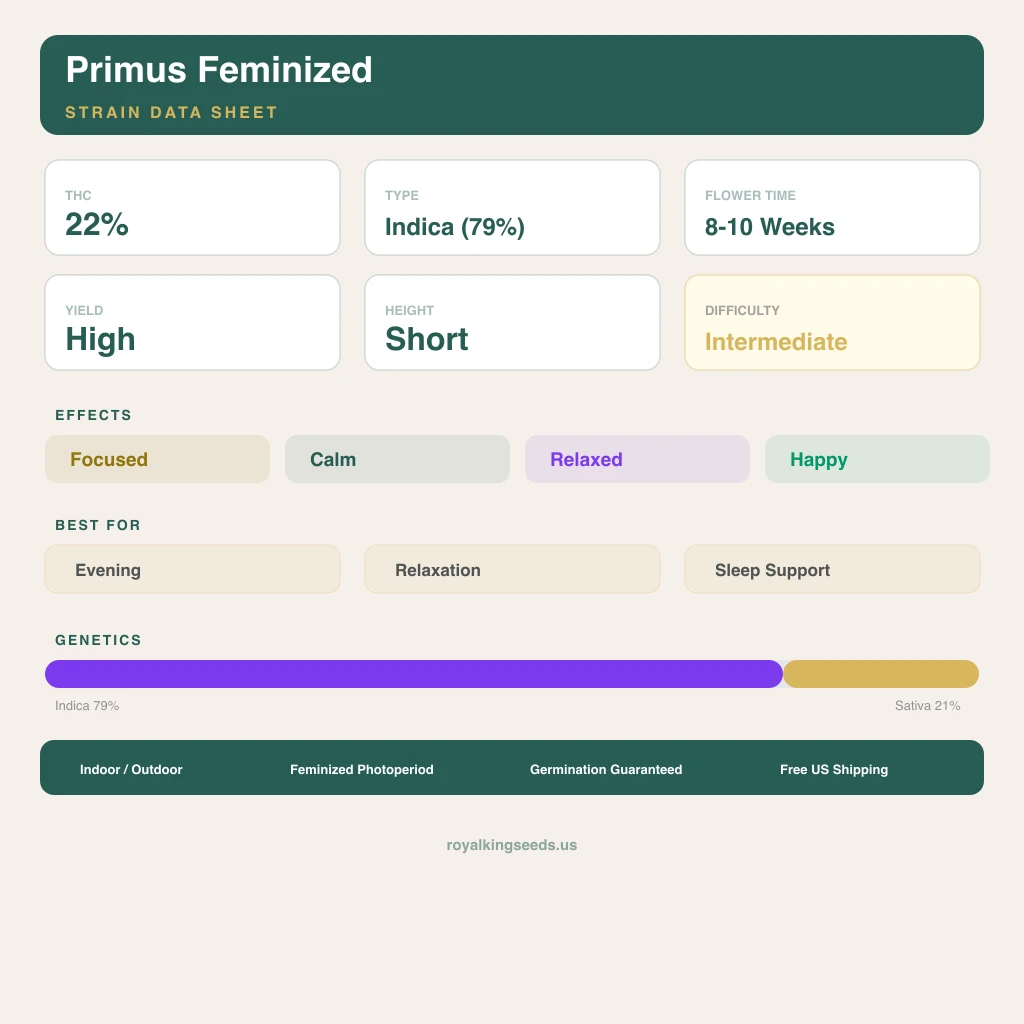 Primus 79% indica / 21% sativa flower with visible trichomes