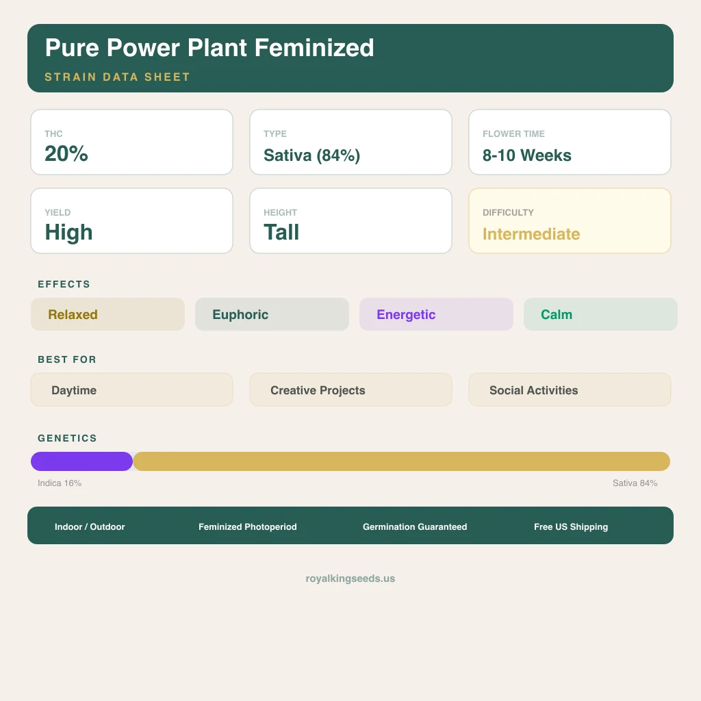 Pure Power Plant 16% indica / 84% sativa flower with visible trichomes