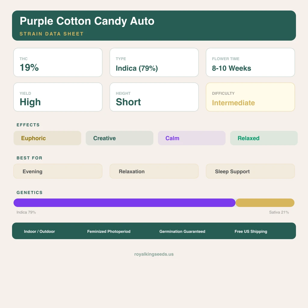 Purple Cotton Candy 79% indica / 21% sativa flower with visible trichomes