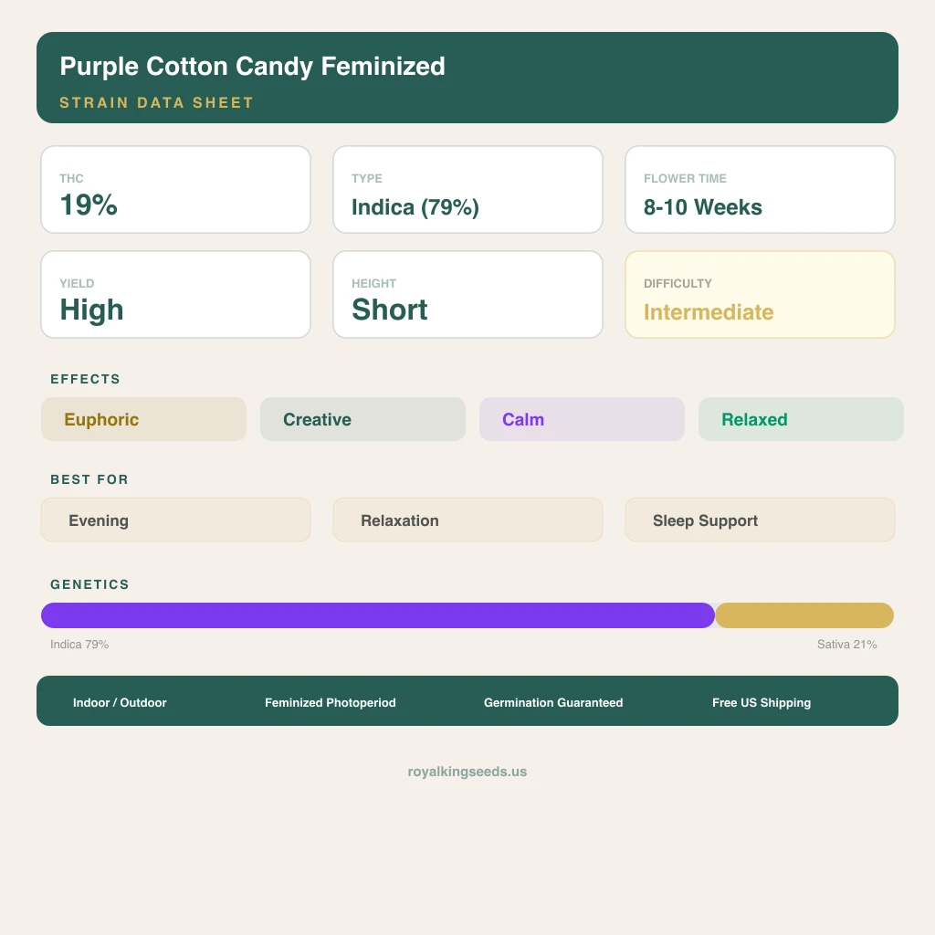 Purple Cotton Candy 79% indica / 21% sativa flower with visible trichomes