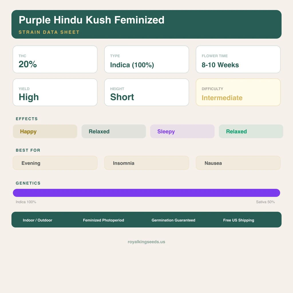 Purple Hindu Kush 100% indica / 50% sativa flower with visible trichomes
