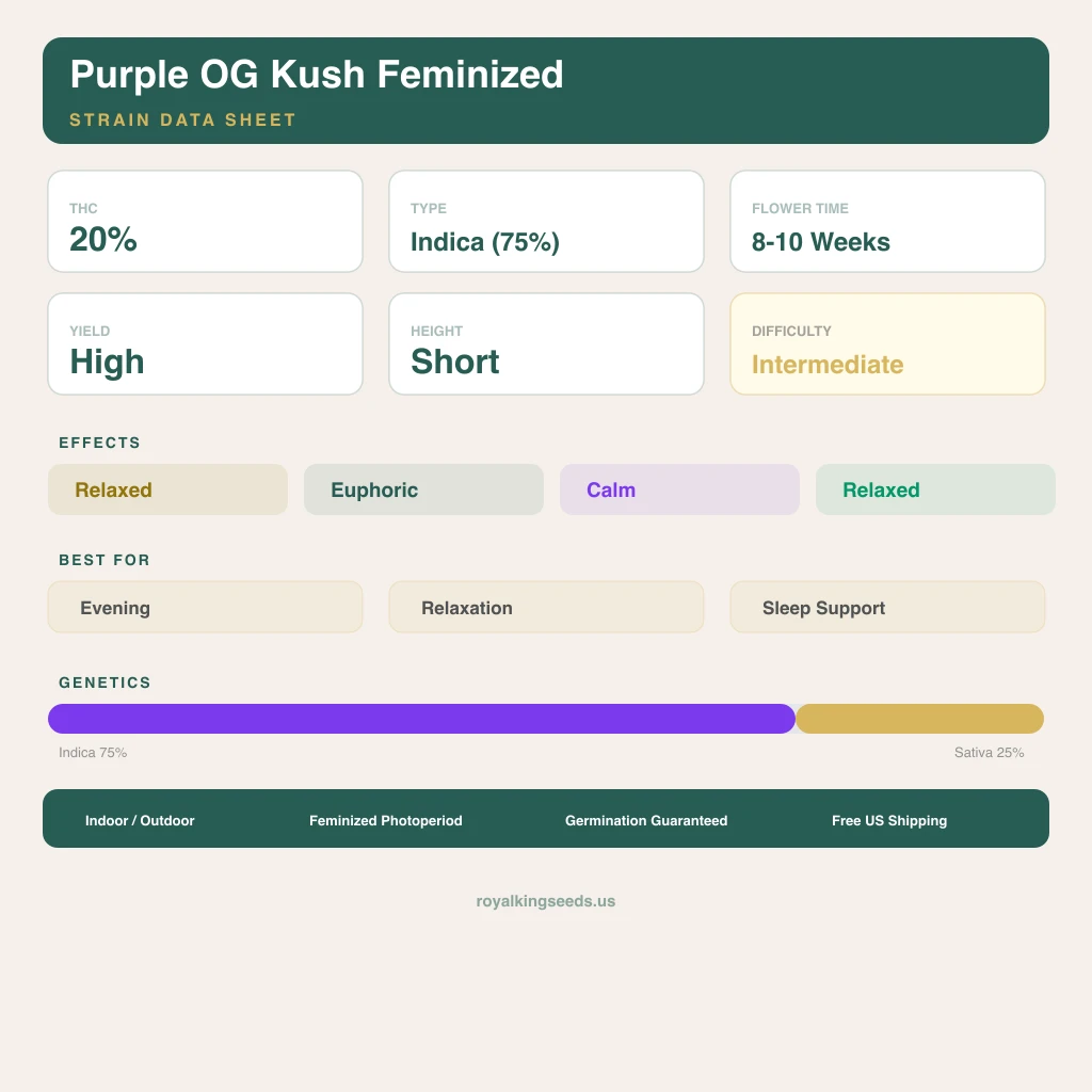 Purple OG Kush 75% indica / 25% sativa flower with visible trichomes