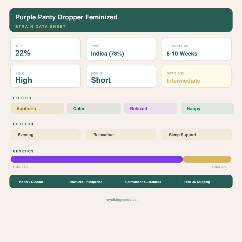 Purple Panty Dropper 78% indica / 22% sativa flower with visible trichomes