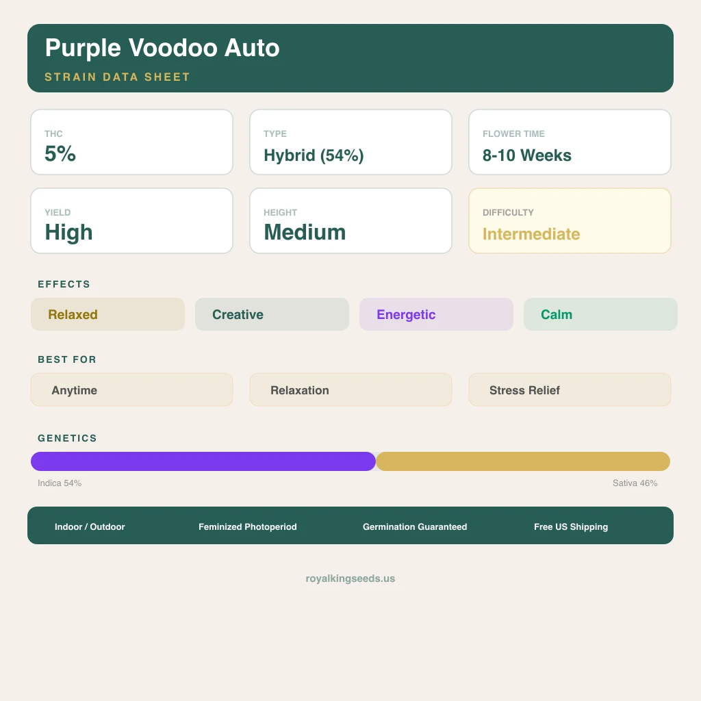 Purple Voodoo 54% indica / 46% sativa flower with visible trichomes