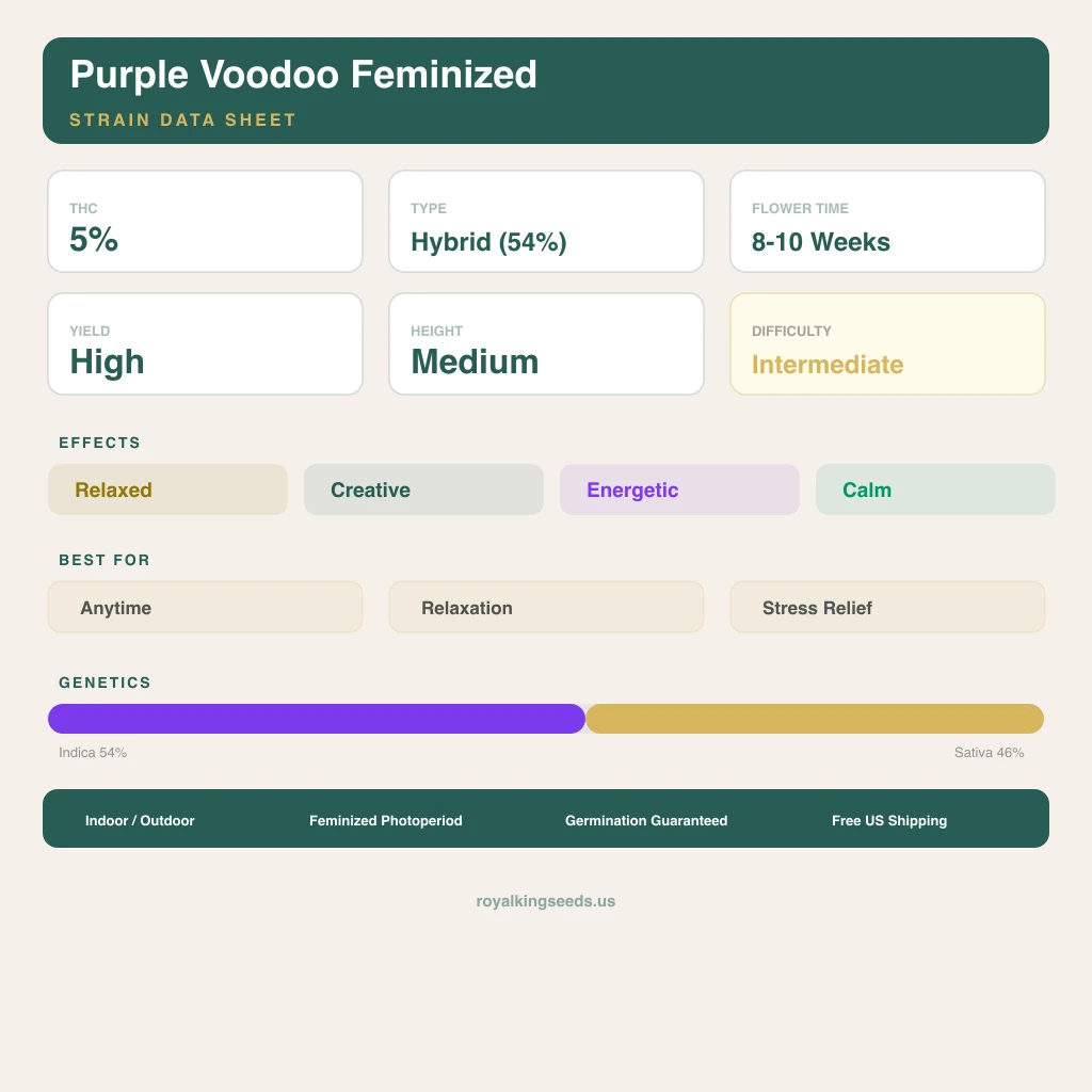 Purple Voodoo 54% indica / 46% sativa flower with visible trichomes