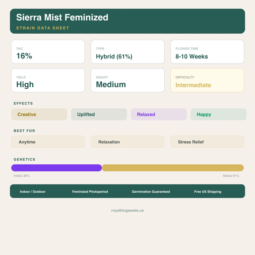 Sierra Mist 39% indica / 61% sativa flower with visible trichomes