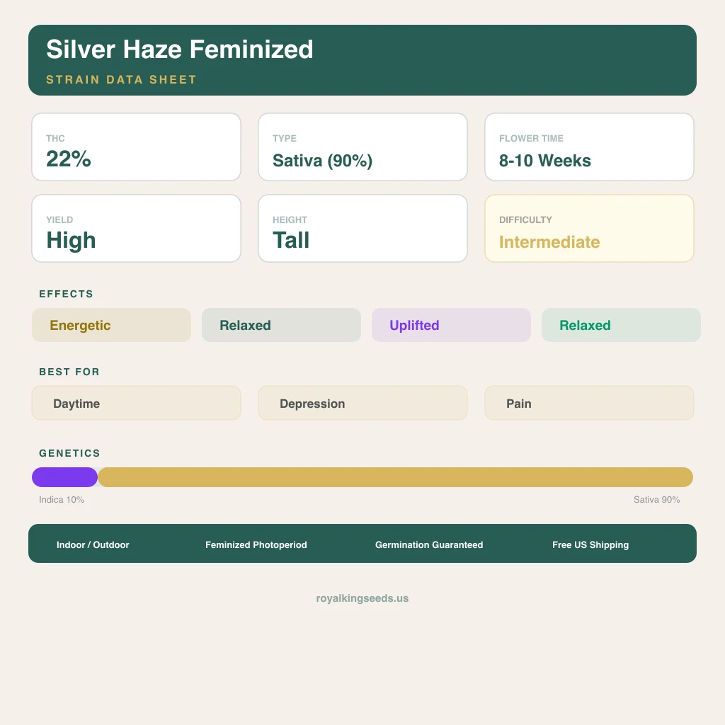 Silver Haze 10% indica / 90% sativa flower with visible trichomes