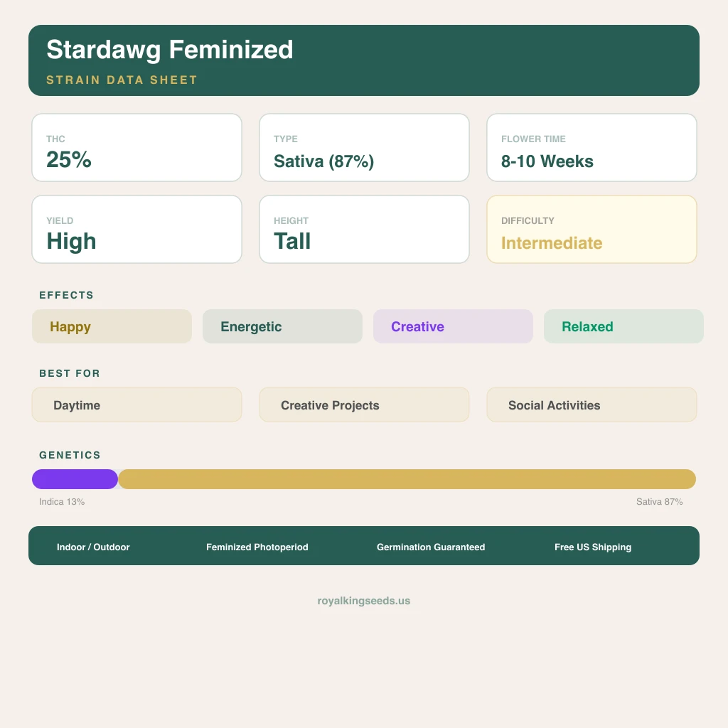 Stardawg 13% indica / 87% sativa flower with visible trichomes