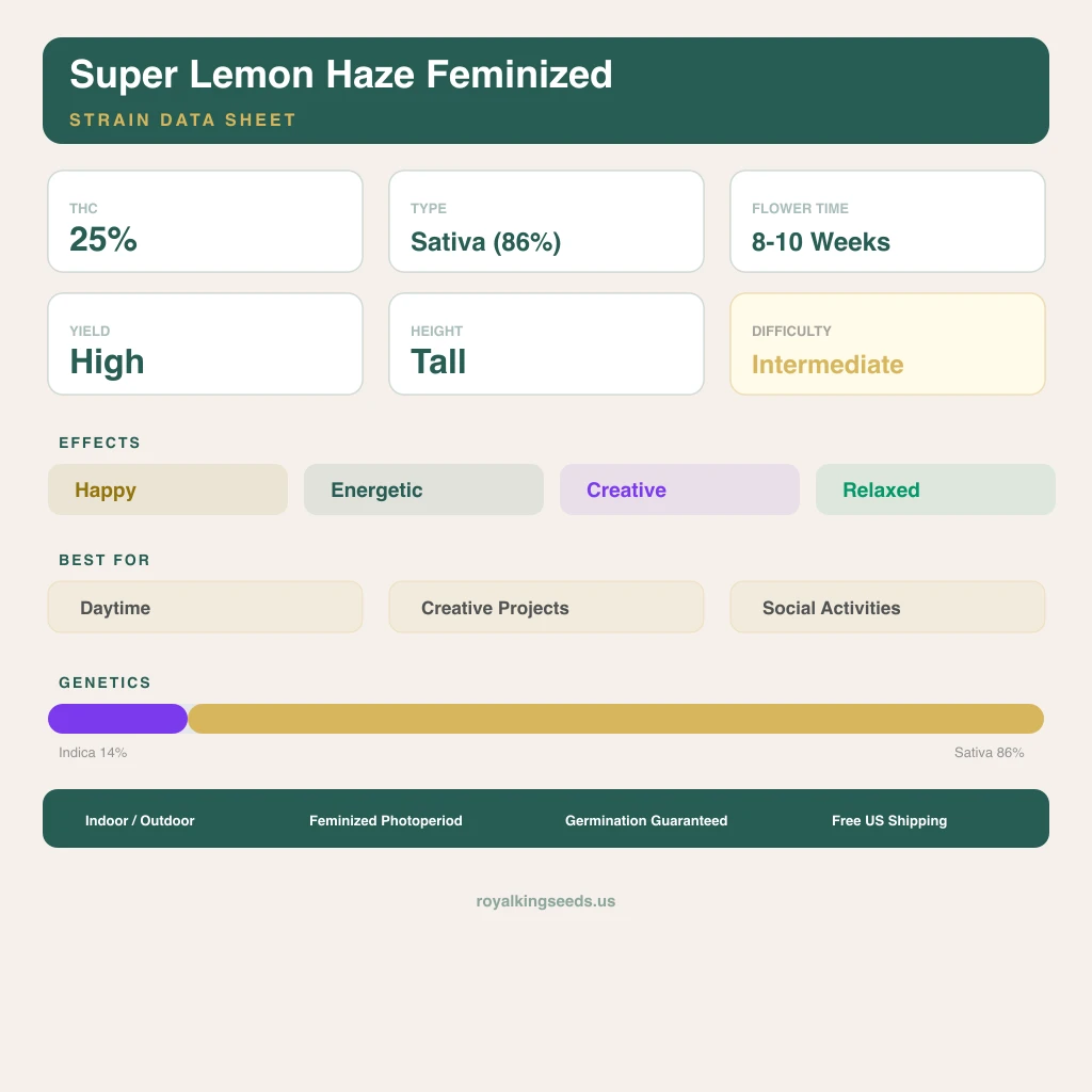 Super Lemon Haze 14% indica / 86% sativa flower with visible trichomes