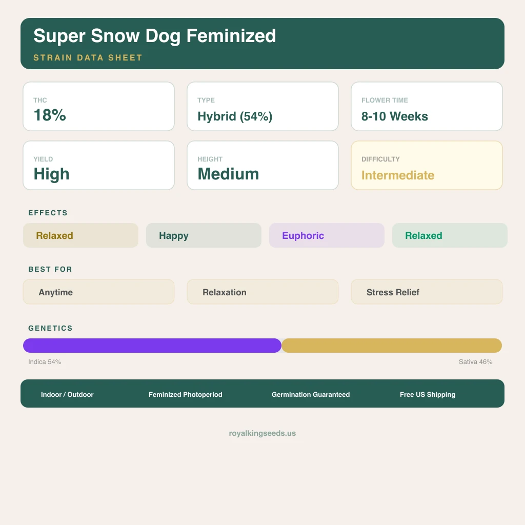 Super Snow Dog 54% indica / 46% sativa flower with visible trichomes