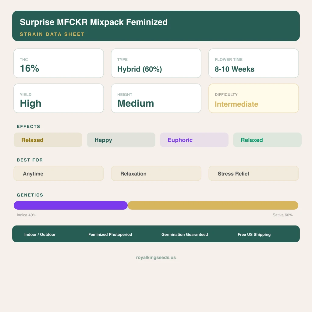 Surprise MFCKR Mixpack 40% indica / 60% sativa flower with visible trichomes