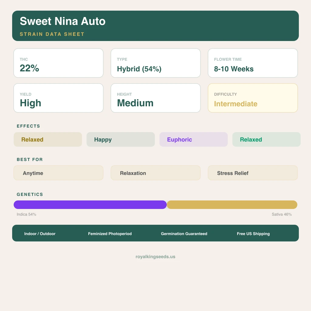 Sweet Nina 54% indica / 46% sativa flower with visible trichomes