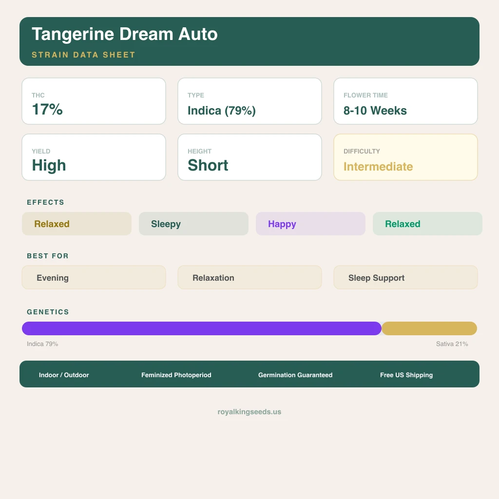 Tangerine Dream 79% indica / 21% sativa flower with visible trichomes