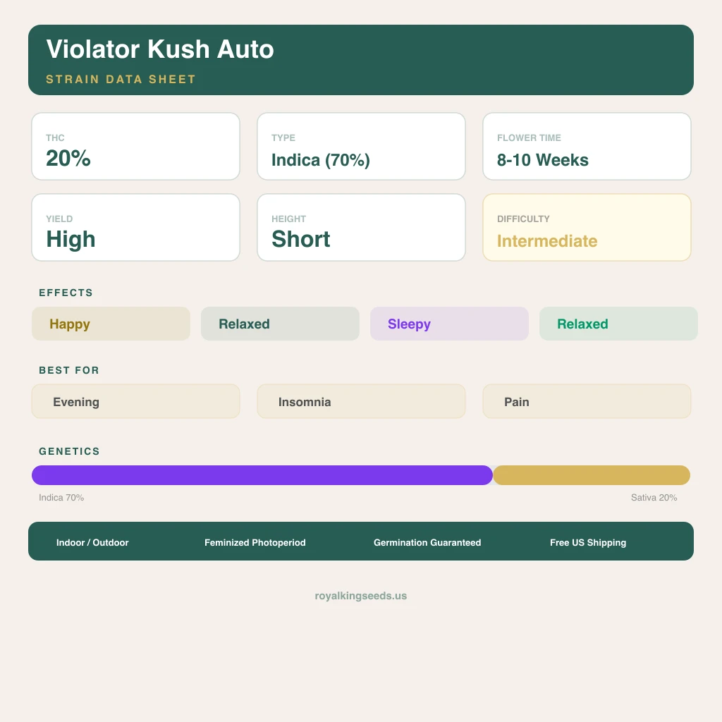 Violator Kush 70% indica / 20% sativa flower with visible trichomes