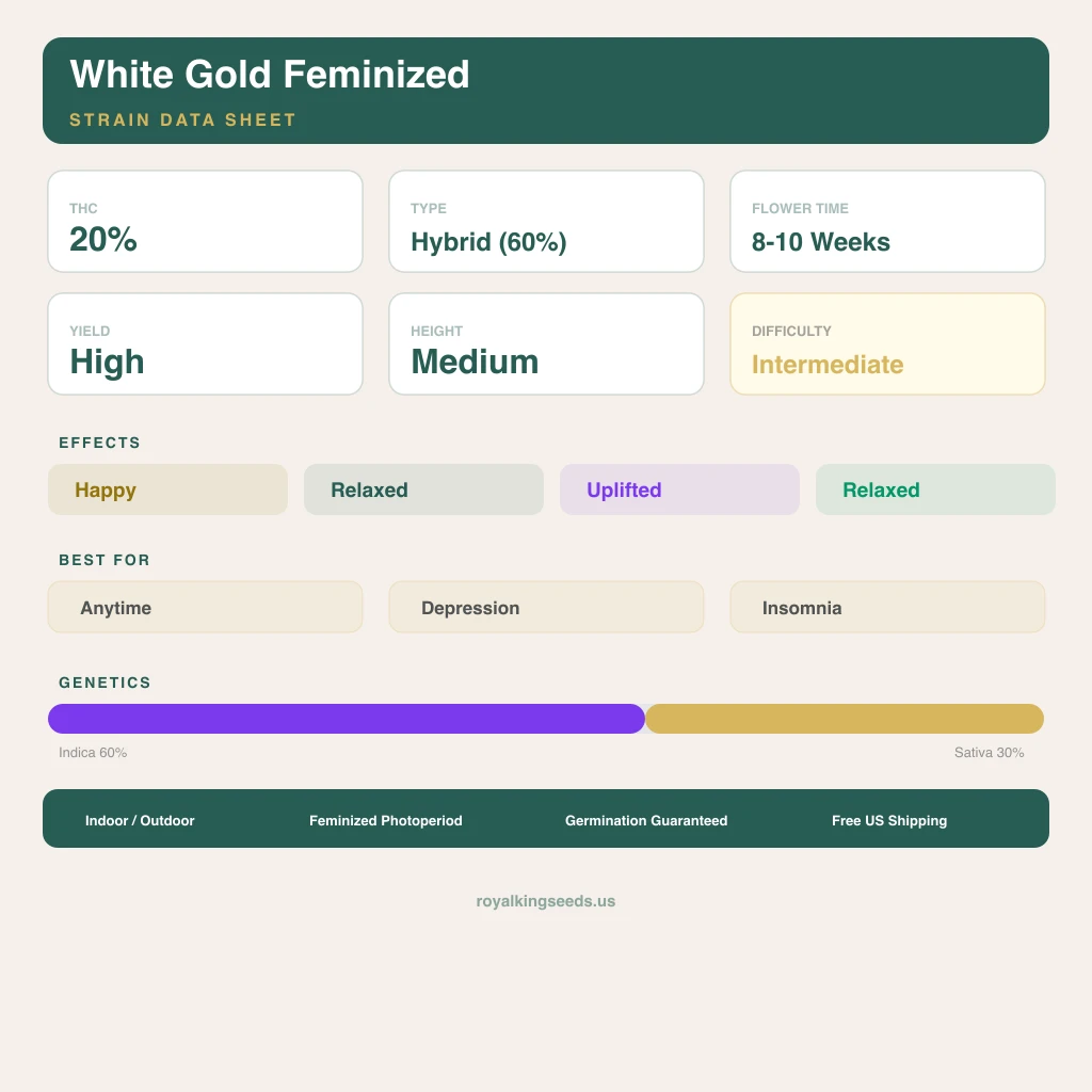 White Gold 60% indica / 30% sativa flower with visible trichomes