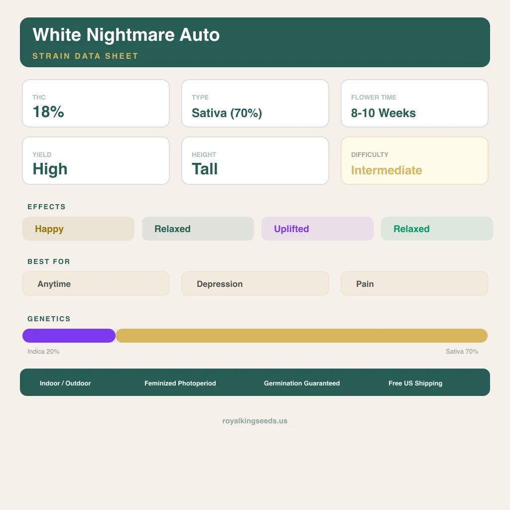 White Nightmare 20% indica / 70% sativa flower with visible trichomes