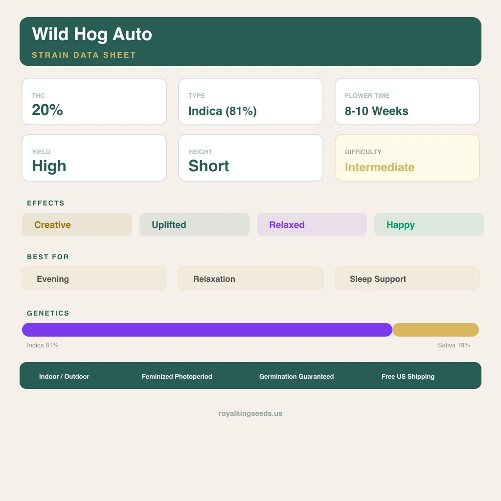 Wild Hog 81% indica / 19% sativa flower with visible trichomes