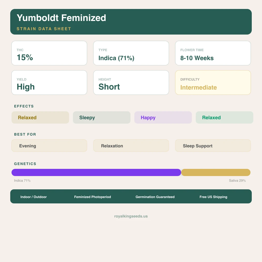 Yumboldt 71% indica / 29% sativa flower with visible trichomes